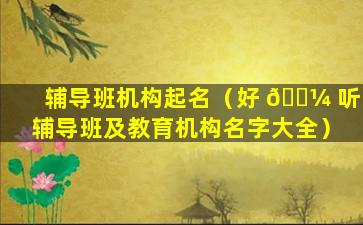 辅导班机构起名（好 🌼 听辅导班及教育机构名字大全）